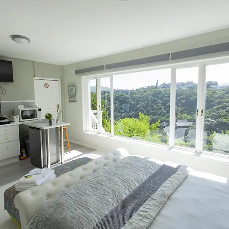 Glenview Heads Apartments Knysna Exterior photo